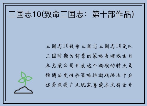 三国志10(致命三国志：第十部作品)